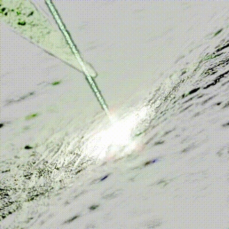 Microscopic